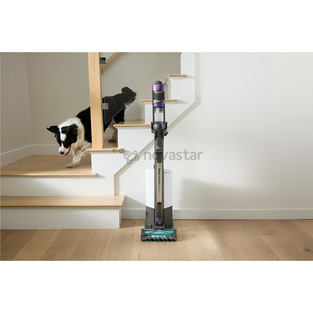 Belaidis dulkių siurblys  Shark PowerDetect Clean & Empty, smėlio spalvos/pilkas