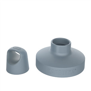 Dangtelis Kambukka, pilkas