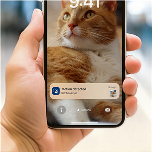 Philips 5000 Series, 4,5 л, темно-серый - Умная кормушка для домашних животных с камерой