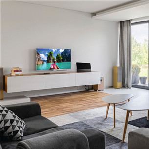 Antena Hama Premium Indoor Aerial, juoda