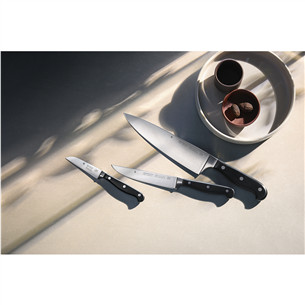 Peilių komplektas WMF Spitzenklasse Plus, 3 dalių