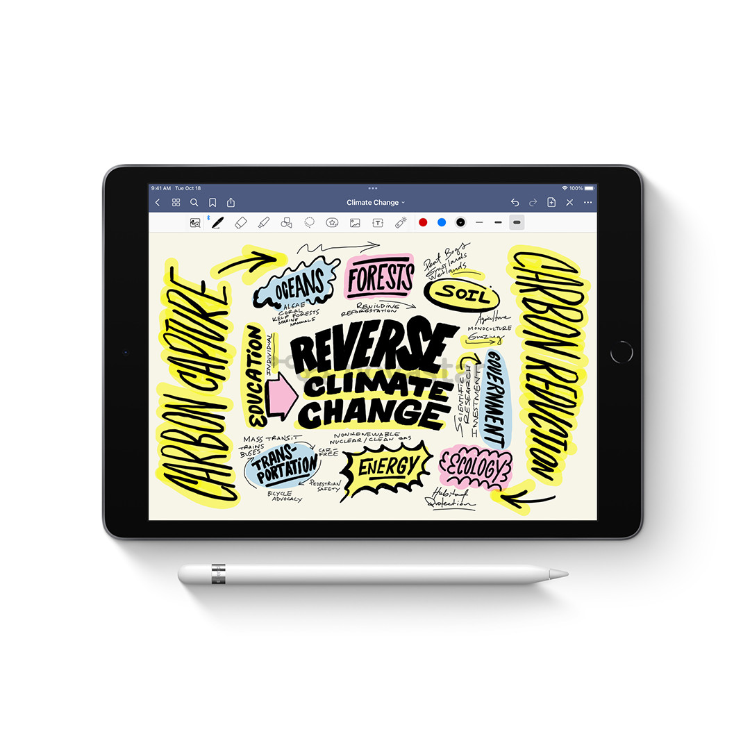 Jutiklinis rašiklis (stylus) Apple Pencil (1st Generation), white