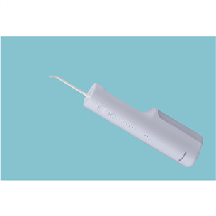 Irigatorius Panasonic Series 300, violetinis