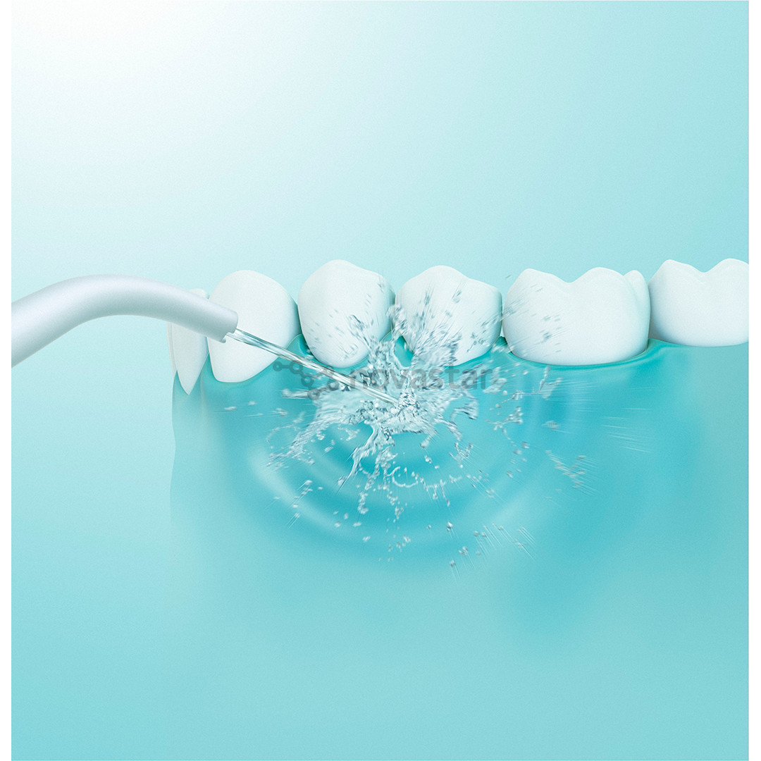 Irigatorius Panasonic Series 300, violetinis