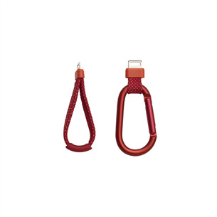 Belaidė kolonėlė JBL Flip 7, raudona