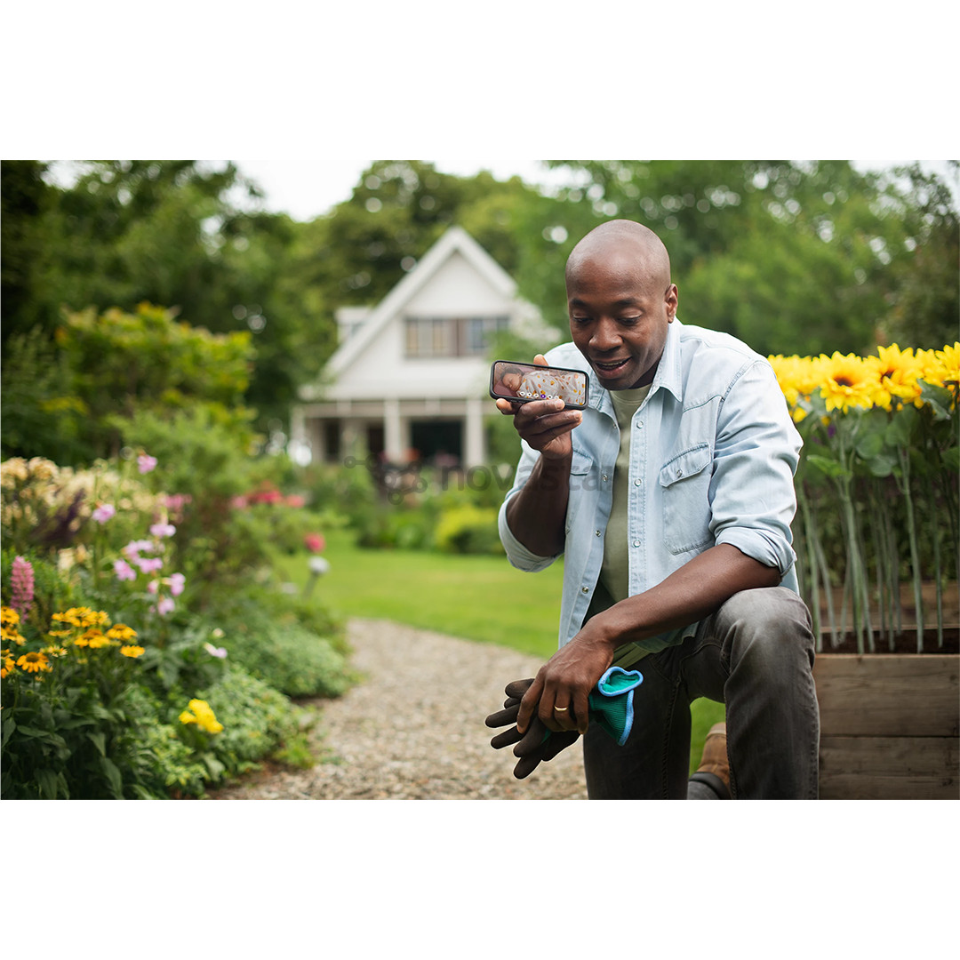 Philips Avent, белый - Видеоняня