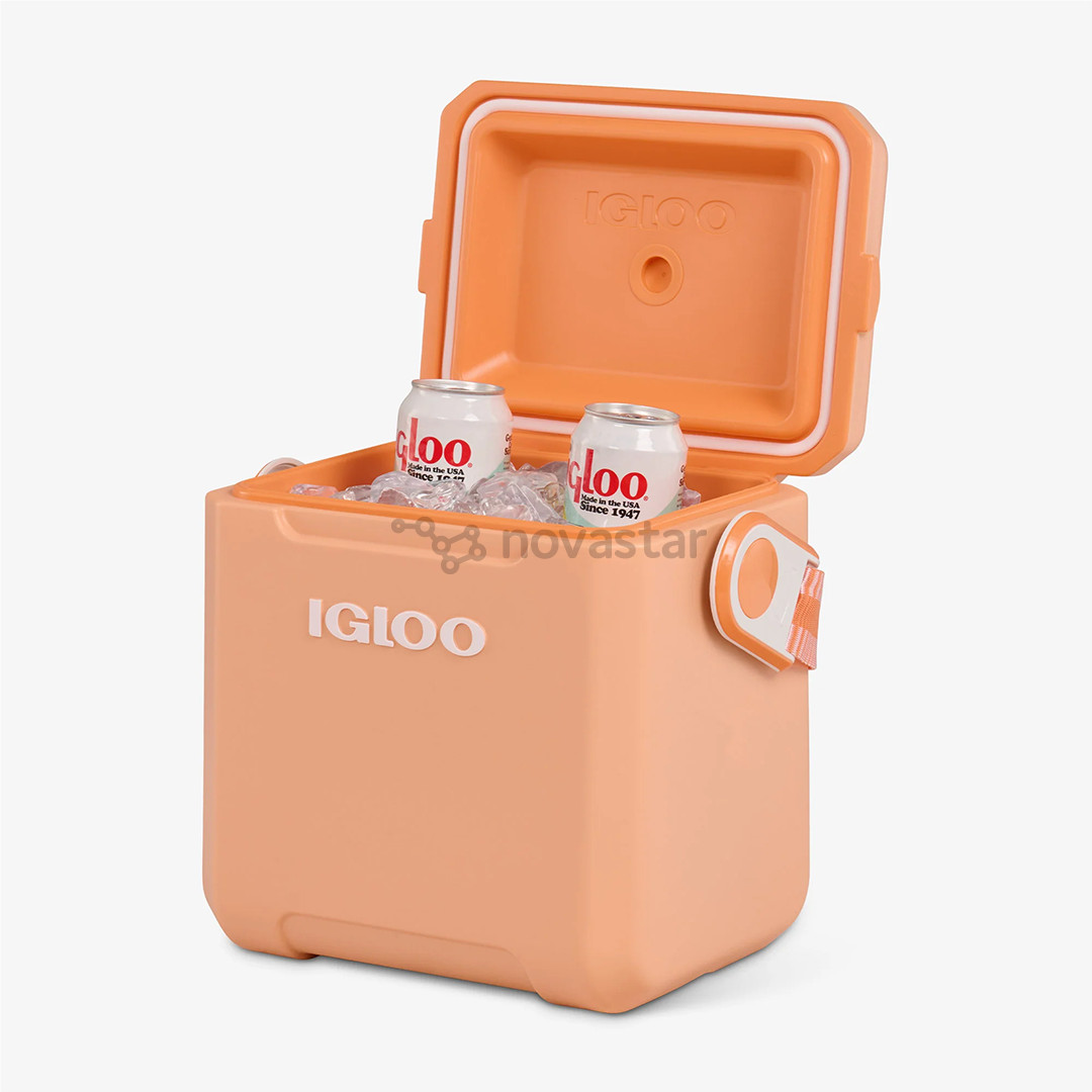 Šaldymo dėžė Igloo Tag Along Too Cooler, 10 L, oranžinė