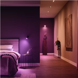 Išmaniosios lemputės Philips Hue Smart Spotlight, white and color, GU10, 2 vnt