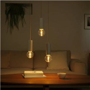 Philips Hue G95 Globe, E27, black - LED light