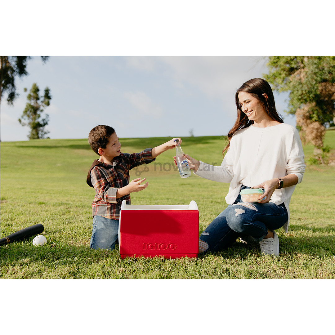 Šaldymo dėžė Igloo Playmate Elite, Red Star, 15 L, raudona