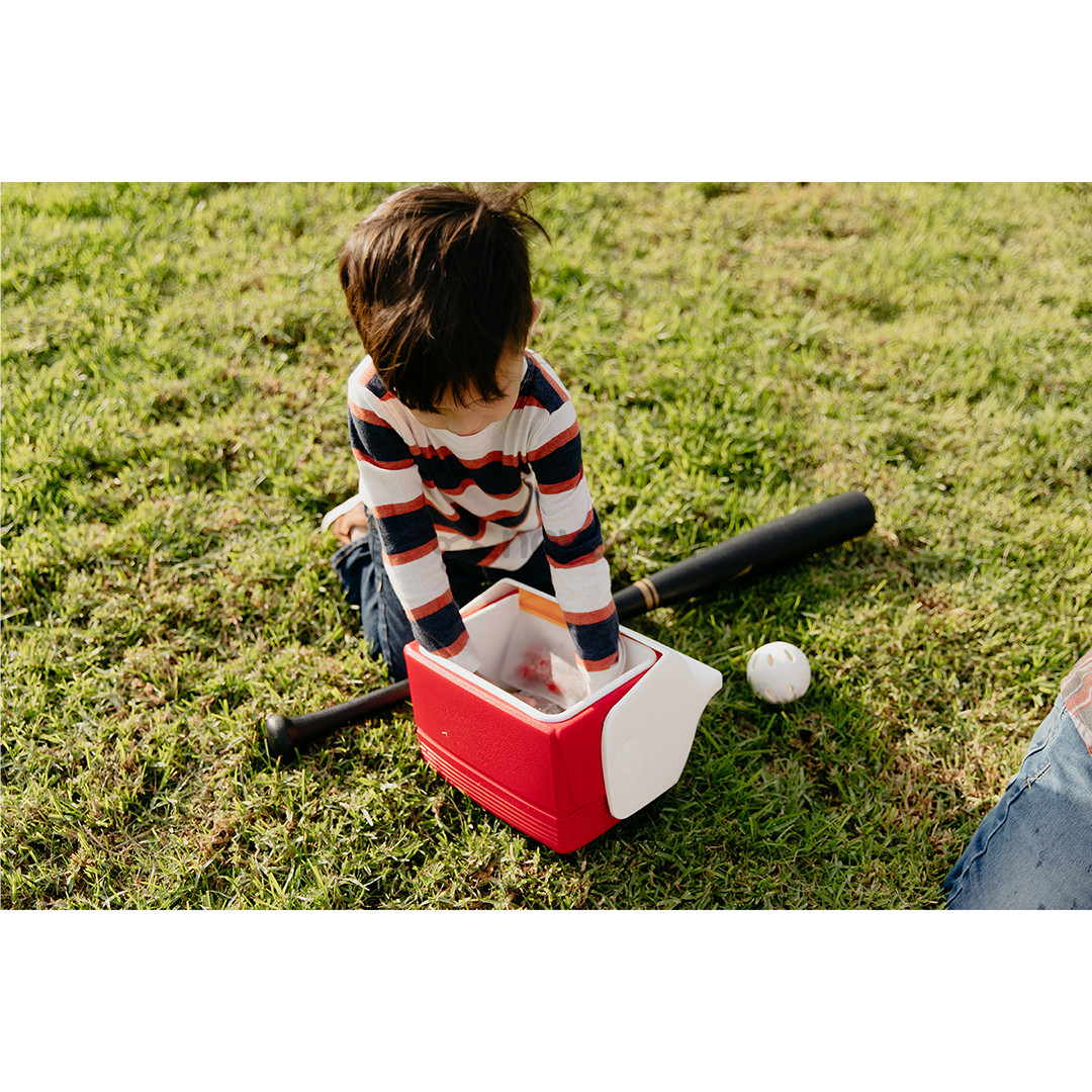 Šaldymo dėžė Igloo Playmate Elite, Red Star, 15 L, raudona