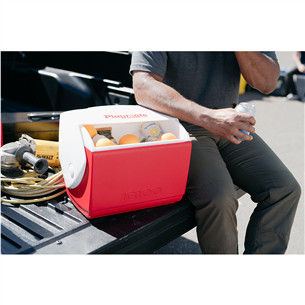 Šaldymo dėžė Igloo Playmate Elite, Red Star, 15 L, raudona