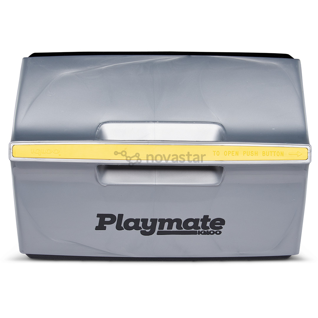 Šaldymo dėžė Igloo Playmate The Boss, 14 L, juoda/sidabro spalvos