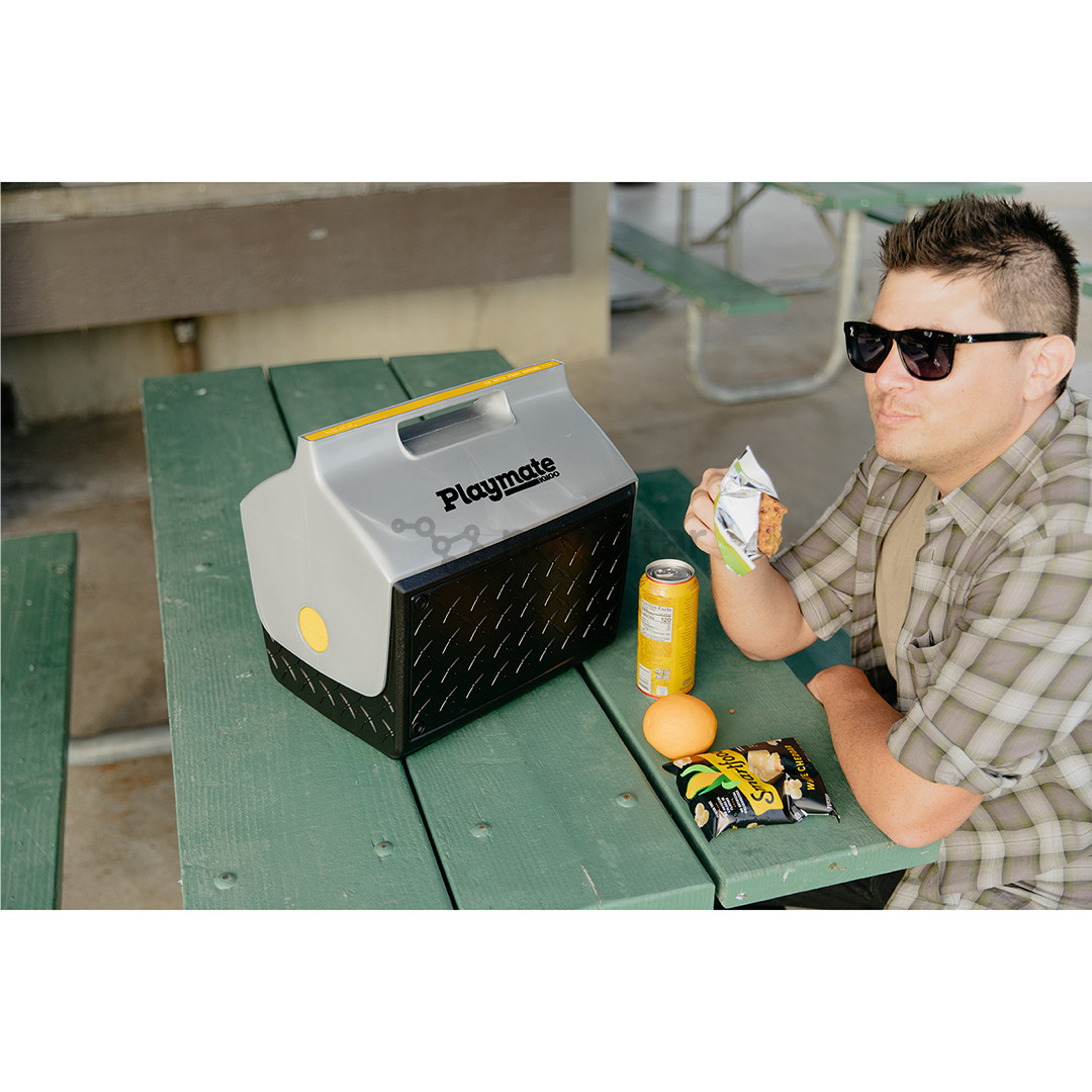 Šaldymo dėžė Igloo Playmate The Boss, 14 L, juoda/sidabro spalvos