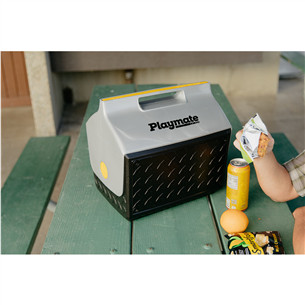 Šaldymo dėžė Igloo Playmate The Boss, 14 L, juoda/sidabro spalvos