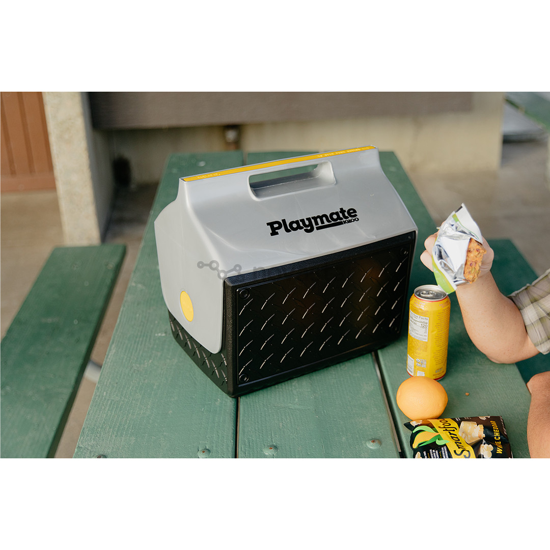 Šaldymo dėžė Igloo Playmate The Boss, 14 L, juoda/sidabro spalvos