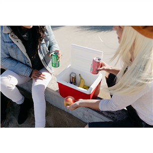 Šaldymo dėžė Igloo Laguna 9, Red Star 8 L, raudona