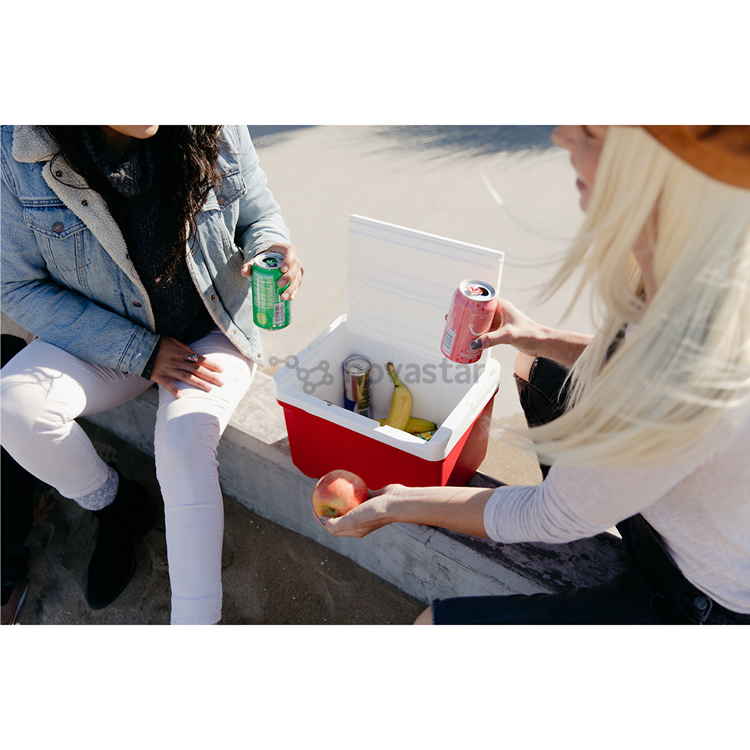 Šaldymo dėžė Igloo Laguna 9, Red Star 8 L, raudona