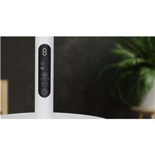 Hisense, baltas - Pastatomas ventiliatorius