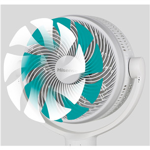 Hisense, baltas - Pastatomas ventiliatorius