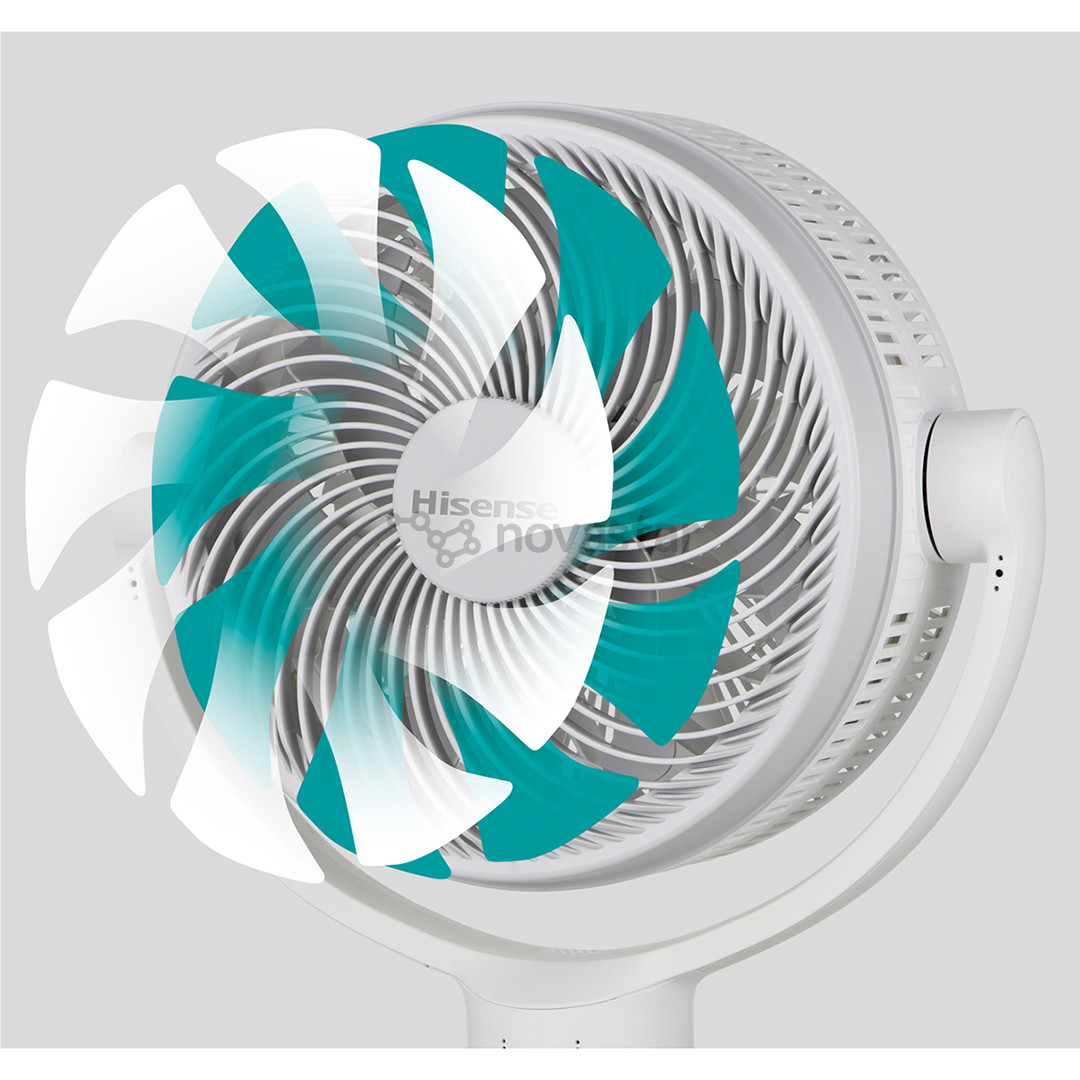 Hisense, baltas - Pastatomas ventiliatorius