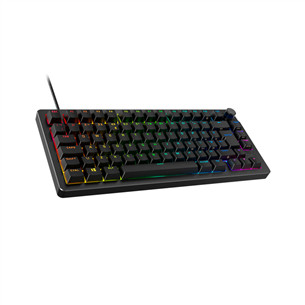 HyperX Alloy Rise 75, SWE, black - Keyboard