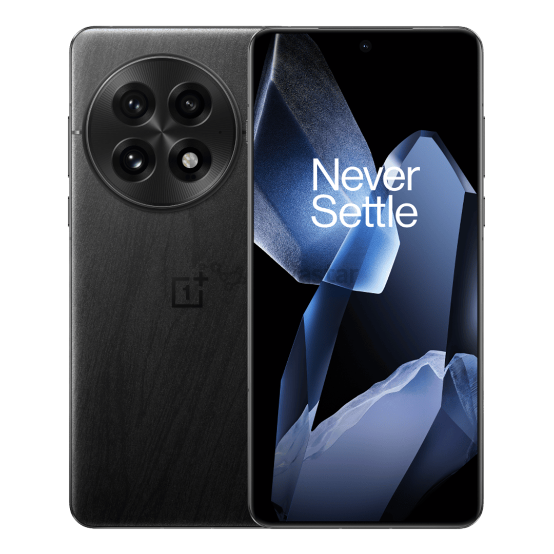 Išmanusis telefonas OnePlus 13, 12 GB, 256 GB, juodas