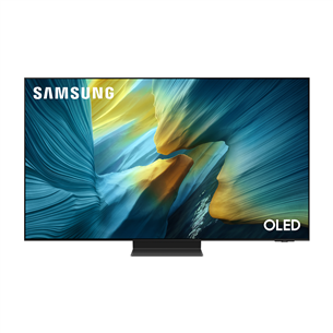 Samsung S95F, 65'', 4K UHD, OLED, черный - Телевизор QE65S95FATXXH