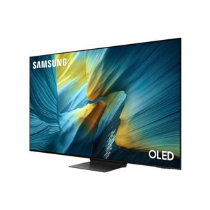 Samsung S95F, 65'', 4K UHD, OLED, черный - Телевизор