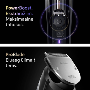 Barzdaskutė Braun Series 9, pilka/juoda