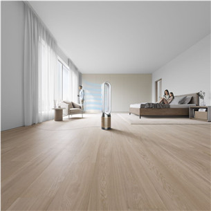 Dyson, baltas/aukso spalvos - Oro valytuvas