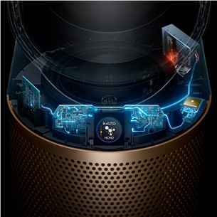 Dyson, baltas/aukso spalvos - Oro valytuvas