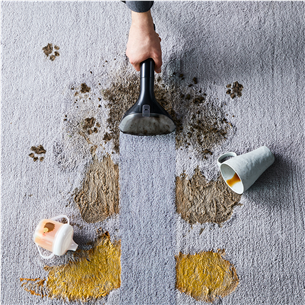 Rowenta Clean It, black/green - Carpet cleaner