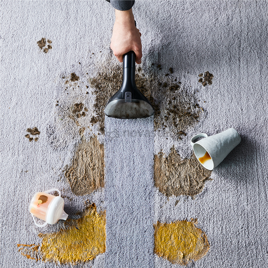 Rowenta Clean It, black/green - Carpet cleaner