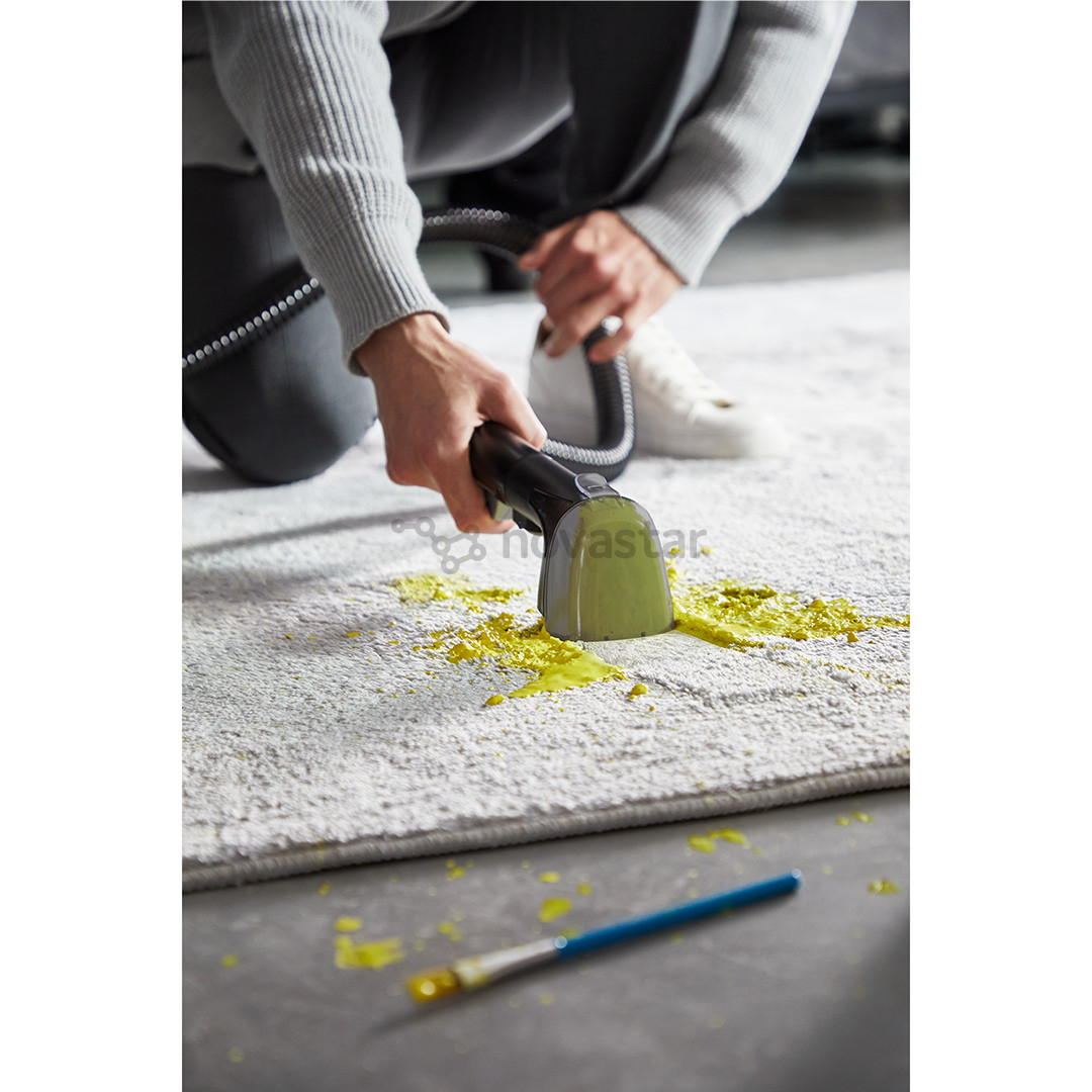 Kilimų ir apmušalų valymo įrenginys Rowenta Clean It, juodas/žalias