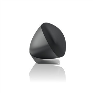 Bowers & Wilkins Zeppelin Pro Edition, pilka - Garso kolonėlė