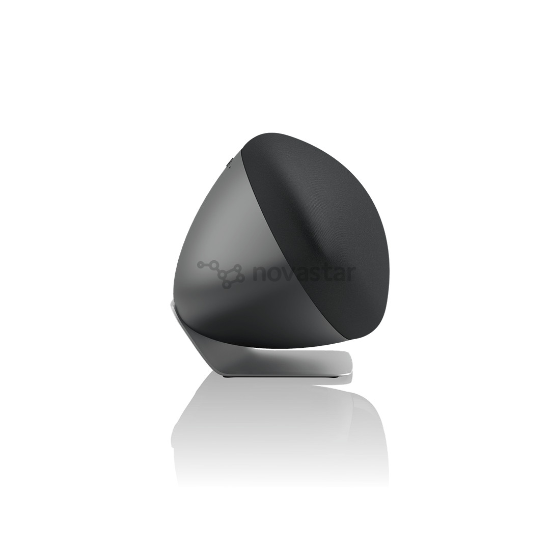 Bowers & Wilkins Zeppelin Pro Edition, pilka - Garso kolonėlė