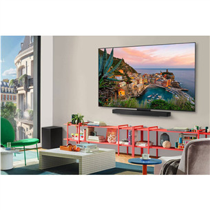 LG OLED evo AI C5, 55'', 4K UHD, OLED, черный - Телевизор