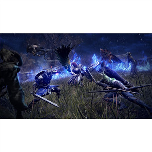 Elden Ring Nightreign Collector's Edition, PlayStation 4 - Игра