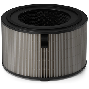 Philips, 4200 Series, HEPA NanoProtect, 2 pcs - Filter for air purifier