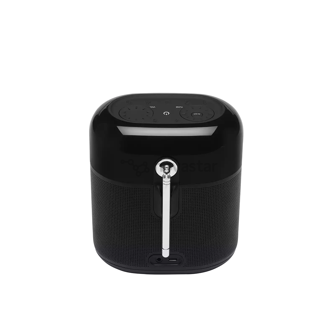 JBL Tuner XL, FM, DAB/DAB+, Bluetooth, rechargeable battery, black - Portable radio