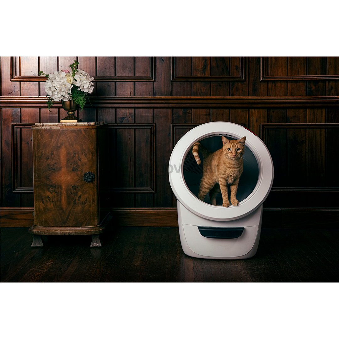 Litter-Robot 4 by Whisker, white - Automatic self-cleaning litter box