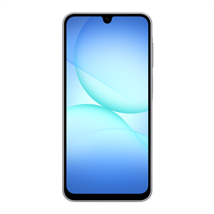 Samsung Galaxy A17, LTE, 128GB, grey - Smartphone
