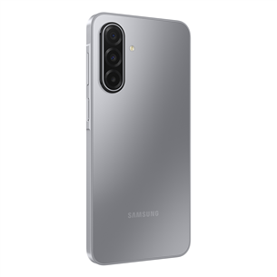 Samsung Galaxy A17, LTE, 128GB, grey - Smartphone