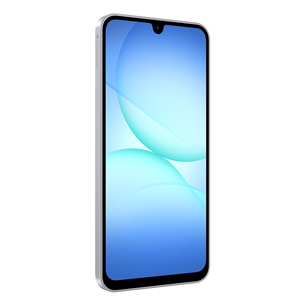 Samsung Galaxy A17, LTE, 128GB, grey - Smartphone