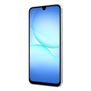 Samsung Galaxy A17, LTE, 128GB, grey - Smartphone