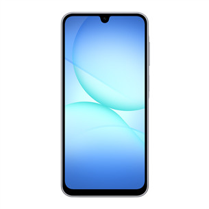 Samsung Galaxy A17 5G, 128GB, pilkas - Išmanusis telefonas