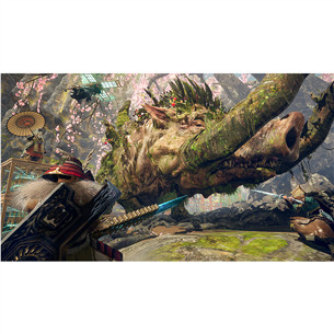 Wild Hearts S, Nintendo Switch 2 - Žaidimas