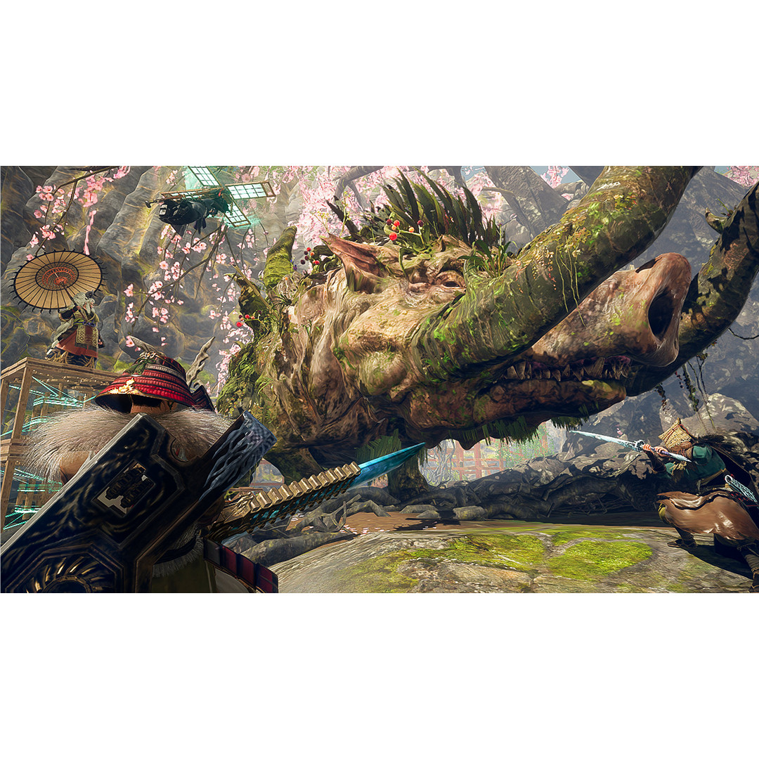 Wild Hearts S, Nintendo Switch 2 - Žaidimas