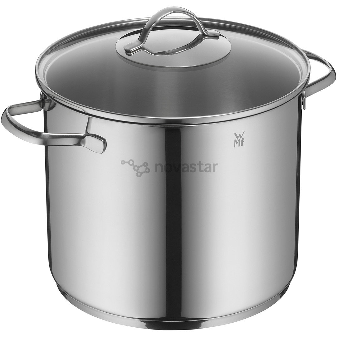 WMF Provence Plus, 24 cm, capacity 8.8 L, stainless steel - Stockpot with lid